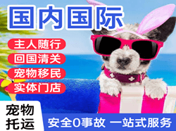 龙嘉机场快递国际宠物托运 【国